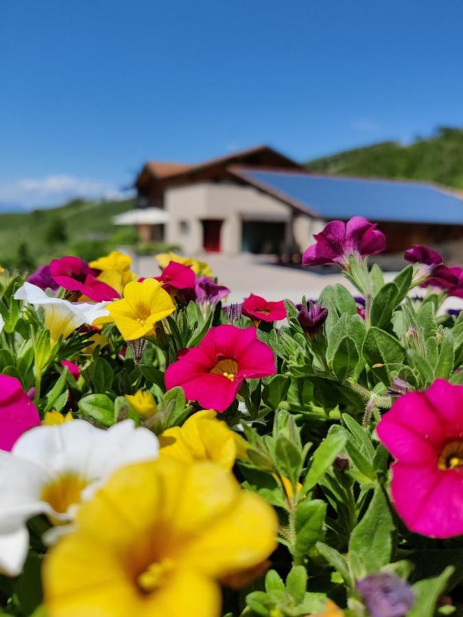 Bio Agritur Al Bait Vila Spormaggiore Exterior foto